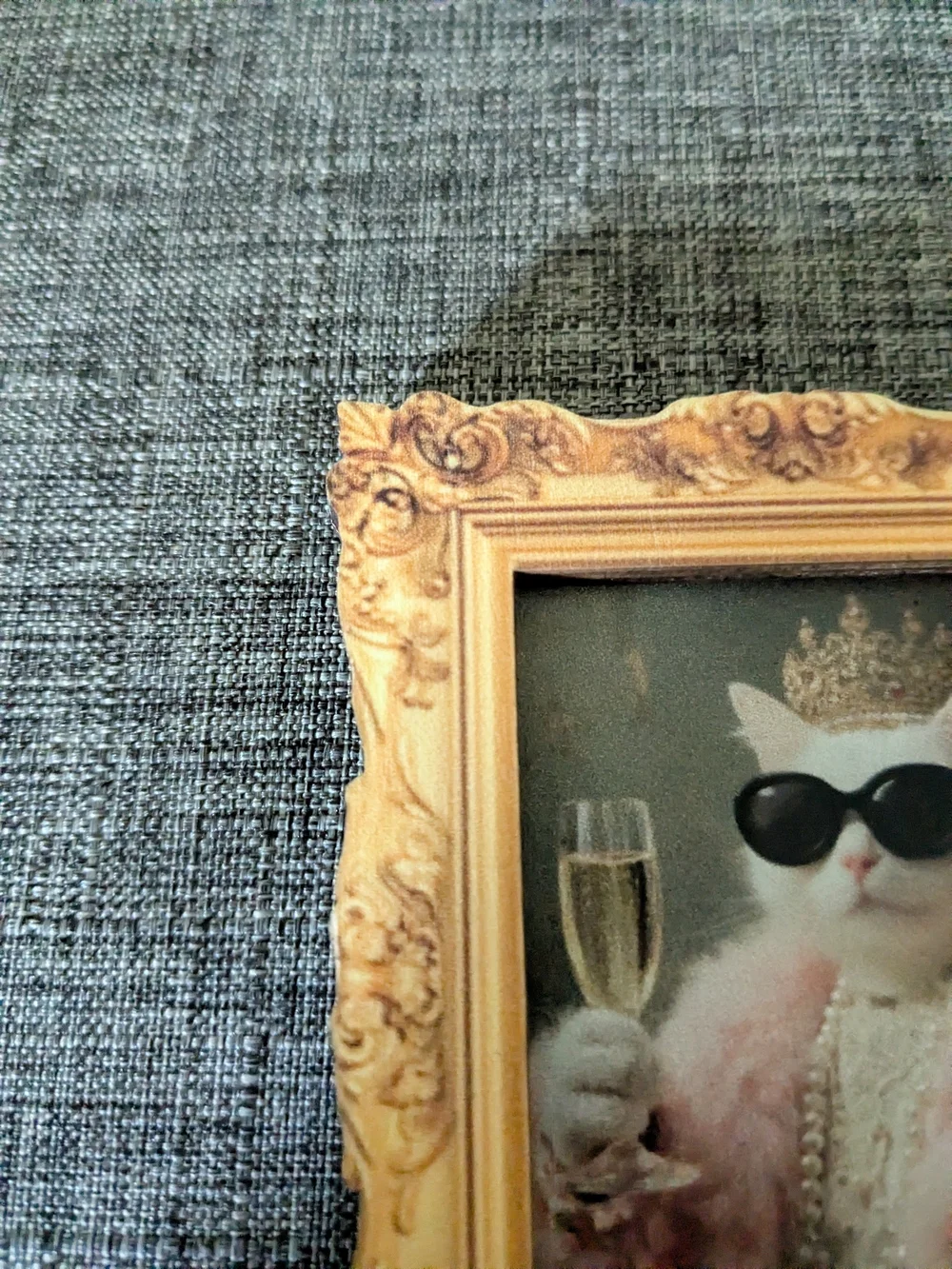 N/A charming cat